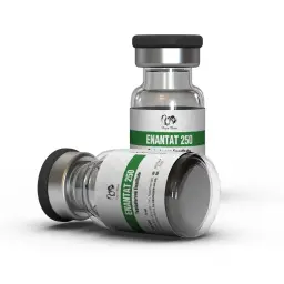 Enanthat 250 - Testosterone Enanthate - Dragon Pharma, Europe Enanthat 250 - Testosterone Enanthate - Dragon Pharma, Europe