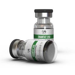 Enanthat 250 - Testosterone Enanthate - Dragon Pharma, Europe