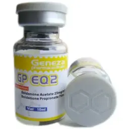 GP EQ 2 -  -