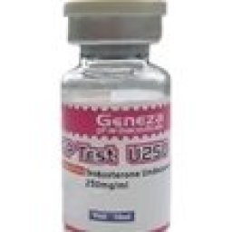 GP Test U250 (Nebido) - Testosterone Undecanoate - Geneza Pharmaceuticals