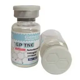 GP TNE -  -