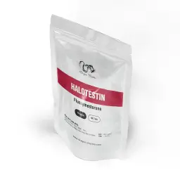 Halotestin 10 mg - Fluoxymesterone - Dragon Pharma, Europe