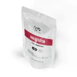 Halotestin - Fluoxymesterone - Dragon Pharma, Europe