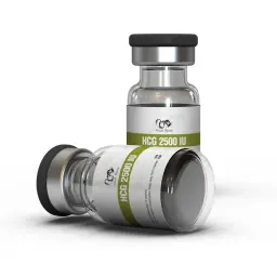 HCG 2500 IU - Human Chorionic Gonadotropin - Dragon Pharma, Europe