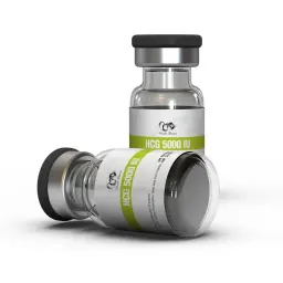HCG 5000 IU - Human Chorionic Gonadotropin - Dragon Pharma, Europe