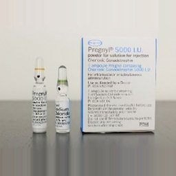 HCG Pregnyl - Human chorionic gonadotropin - Organon Ilaclari, Turkey