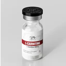 Dragon Pharma, Europe L-Carnitine 500 mg