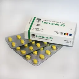 Letrozole 25 - Letrozole - Hilma Biocare