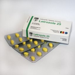 Letrozole 25 - Letrozole - Hilma Biocare