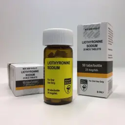 Liothyronine Sodium - Liothyronine Sodium - Hilma Biocare