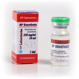 SP Enanthate - Testosterone Enanthate - SP Laboratories