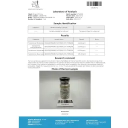 Sustanon 270 - Testosterone Acetate,Testosterone Propionate,Testosterone PhenylPropionate,Testosterone Isocaproate,Testosterone Decanoate - Dragon Pharma, Europe