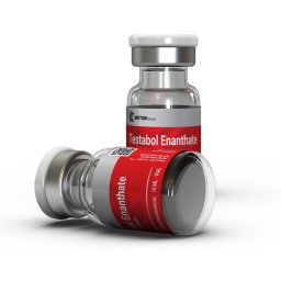 Testabol Enanthate 250 - Testosterone Enanthate - British Dragon Pharmaceuticals