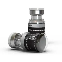Testodex Enanthate 250 - Testosterone Enanthate - Sciroxx