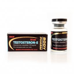 Testosteron-E - Testosterone Enanthate - BodyPharm