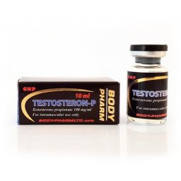 Testosteron-P - Testosterone Propionate - BodyPharm