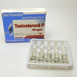 Testosterona P - Testosterone Propionate - Balkan Pharmaceuticals