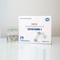 Testosterone E - Testosterone Enanthate - Ice Pharmaceuticals