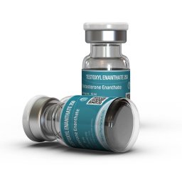 Testoxyl Enanthate 250 - Testosterone Enanthate - Kalpa Pharmaceuticals LTD, India