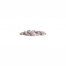 Geneza Pharmaceuticals GP Clomiphene GP Clomiphene