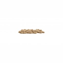 Geneza Pharmaceuticals GP Nolva GP Nolva