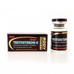 GenShi Labs Testo-E 500 Testo-E 500