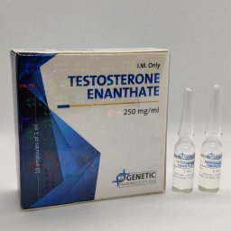 [Testosterona E [50 Amps]]