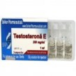 [Testosterona E]